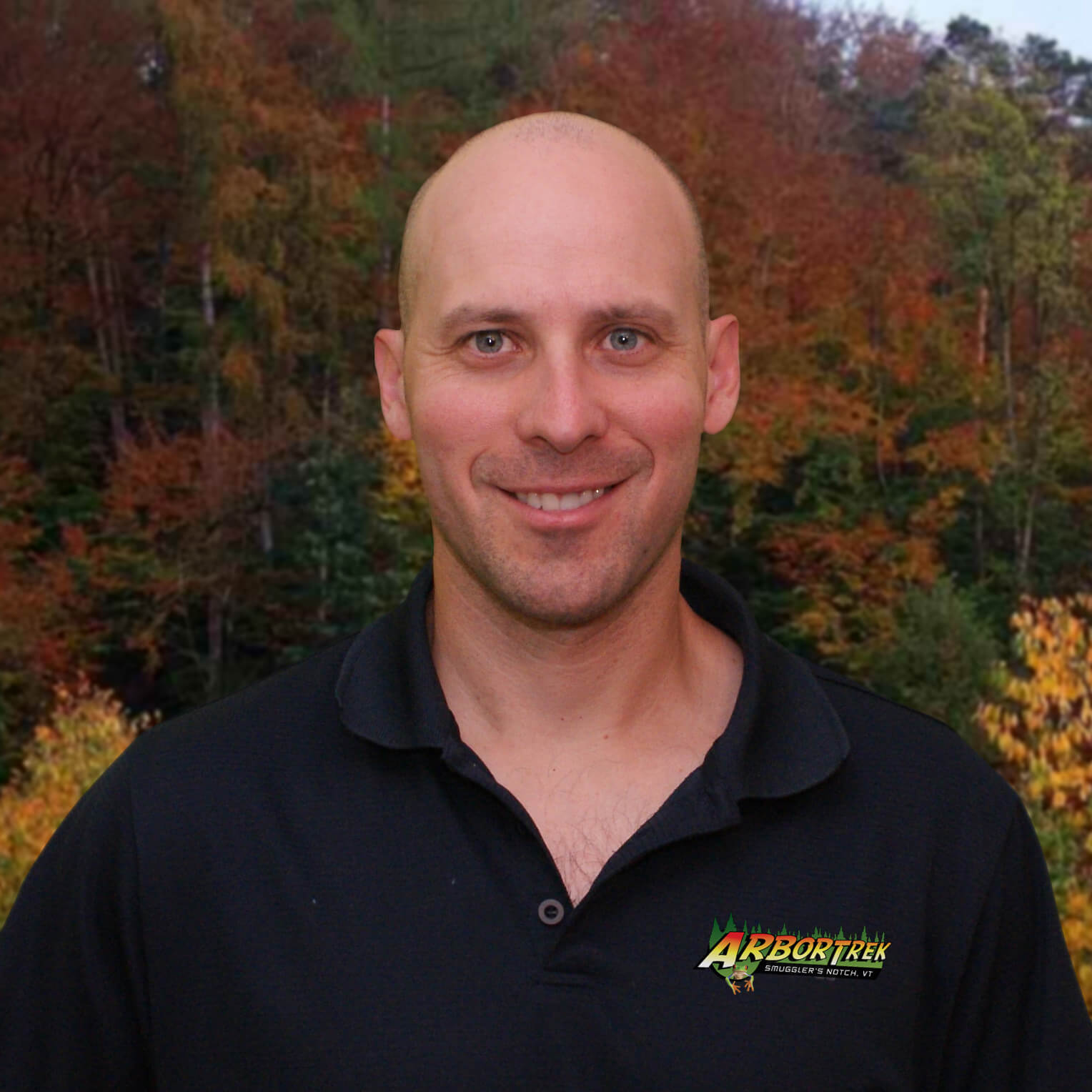 ArborTrek Canopy Adventures - Zip Line Canopy Tour in Smugglers' Notch, Vermont