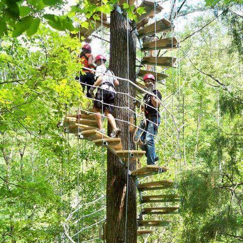 Spiral staircase leads participants higher into the forest canopy along a canopy walkway
