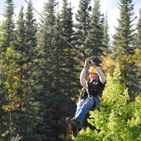 Zip Line Canopy Tour Construction