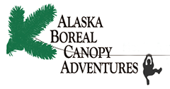 Alaska Boreal Canopy Adventure